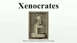 Xenocrates [upl. by Stanway106]