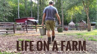 Life On A Farm  Morning amp Evening Chores  Our Daily Homestead Routine [upl. by Cordier]