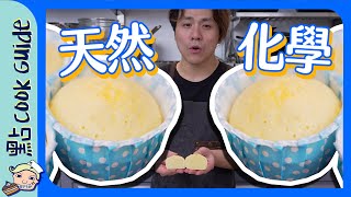 【蒸蛋糕】天然vs化學？唔用泡打粉得唔得？｜Steamed Cake Eng Sub [upl. by Ianteen]