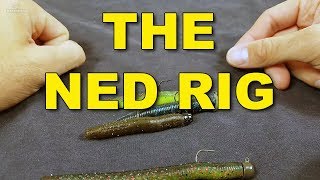 The Ned Rig Proven Tactics You Need To Know  Bass Fishing [upl. by Aeel]