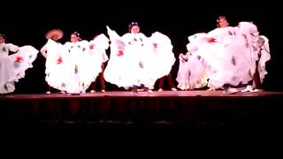 Viva Aguascalientes  Folklore [upl. by Chancellor944]