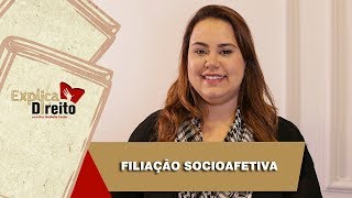 Explica Direito Filiação Socioafetiva  2019 [upl. by Draper152]