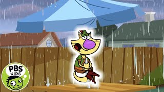 Nature Cat  🙀💧Nature Cat Is Afraid of Water  PBS KIDS [upl. by Isaacson]