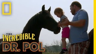 A Family Affair  The Incredible Dr Pol [upl. by Ginnie]