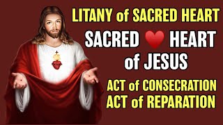 Litany of the Sacred Heart ❤️of Jesus [upl. by Nosnorb437]