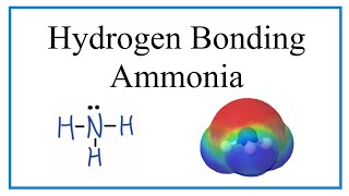 Hydrogen Bonding in Ammonia NH3 [upl. by Odyssey]