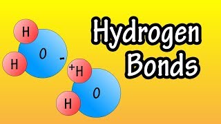 Hydrogen Bonding in Water [upl. by Seumas32]