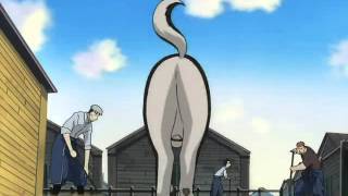 Fullmetal Alchemist Best of Black Hayate dog [upl. by Lorrie]