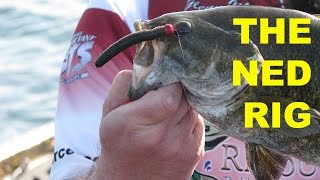 How To Fish The Ned Rig  Bass Fishing [upl. by Ruffo]