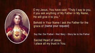 Novena To The Sacred Heart Of Jesus POWERFUL amp MIRACULOUS FULLY GUIDED NOVENA [upl. by Anayit]