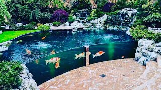 THE MOST BEAUTIFUL BACKYARD FISH PONDS IN THE WORLD [upl. by Salem562]