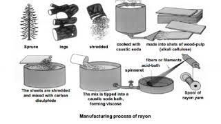 Viscose Rayon  Production  Properties  End uses [upl. by Freedman26]