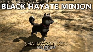 FFXIV Black Hayate Minion [upl. by Ruhtracam]