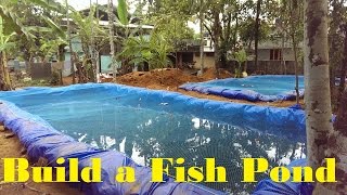 How to build a fish pond  Fish farming in Backyard  Fish tank [upl. by Mollee]