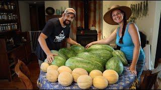 Its All About the Melons Our Amazing Harvest [upl. by Braunstein]