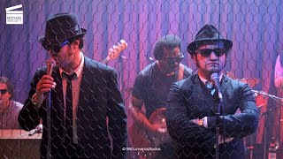 The Blues Brothers Country music Scene HD CLIP [upl. by Kakalina]