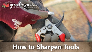 Sharpening Tools  Pruners Loppers Shovels and More [upl. by Puglia643]