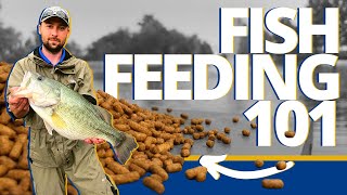 Everything To Know About Feeding Fish In Your Pond  Pond amp Lake Management Tutorial [upl. by Gamin556]